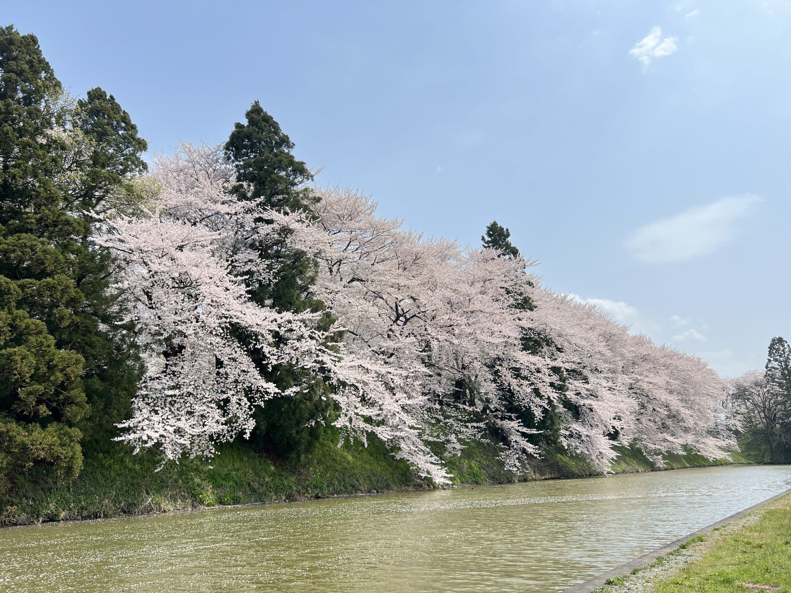山形市城北町1丁目