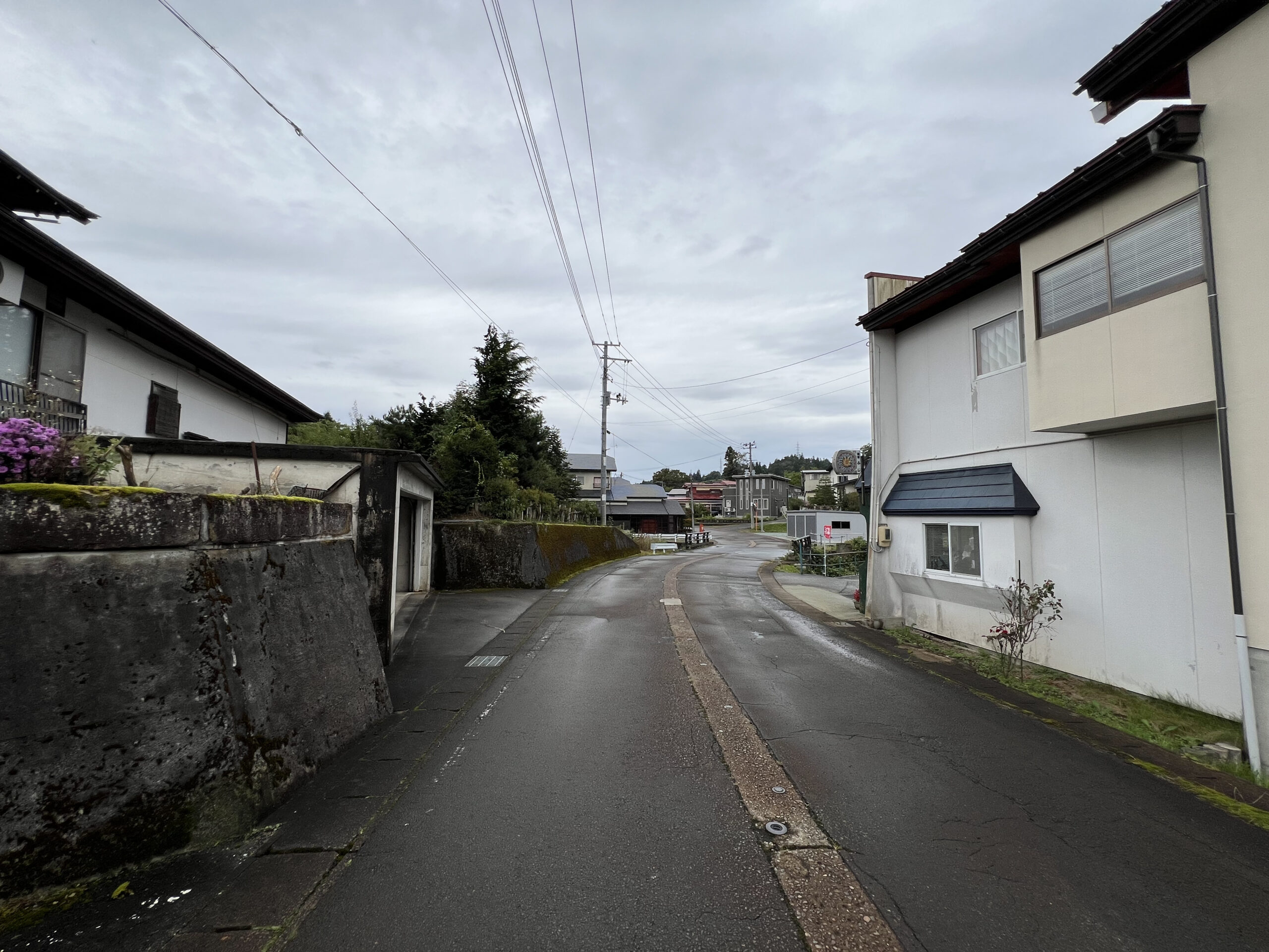 前面道路　西側